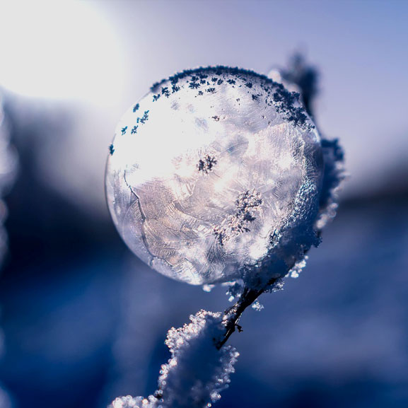 Ice ball on a branch in the winter sun